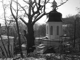 Спиляєш дерево — загине церква