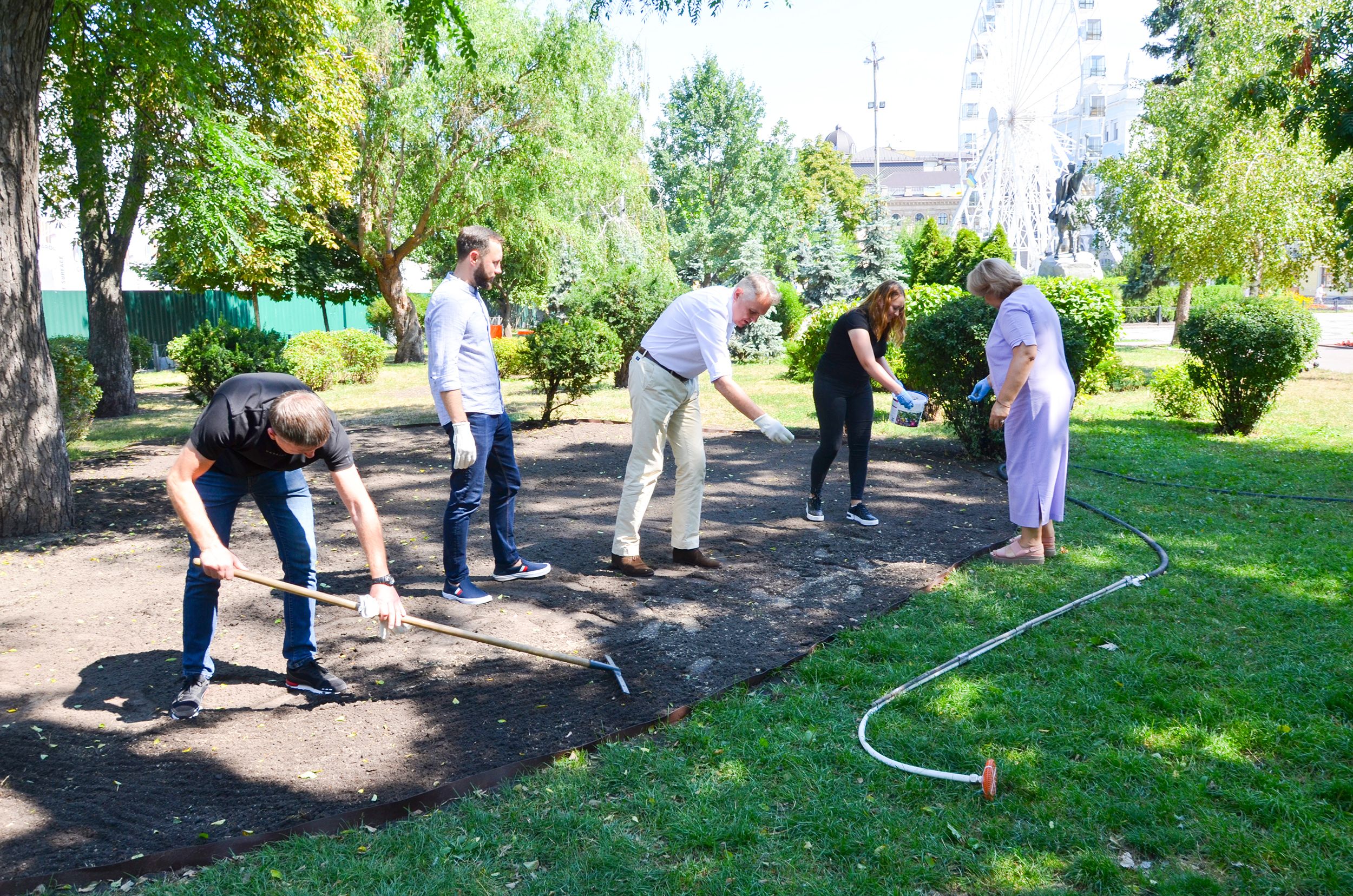 Київський оазис: на Подолі створили ділянку з луговими травами та квітами, фото