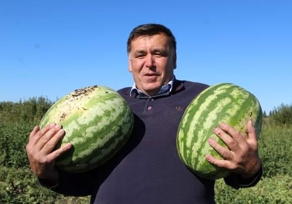 Фермер з Полтавщини ділиться з військовими кавунами й овочами, а снайперам — ще й патрони підкидає