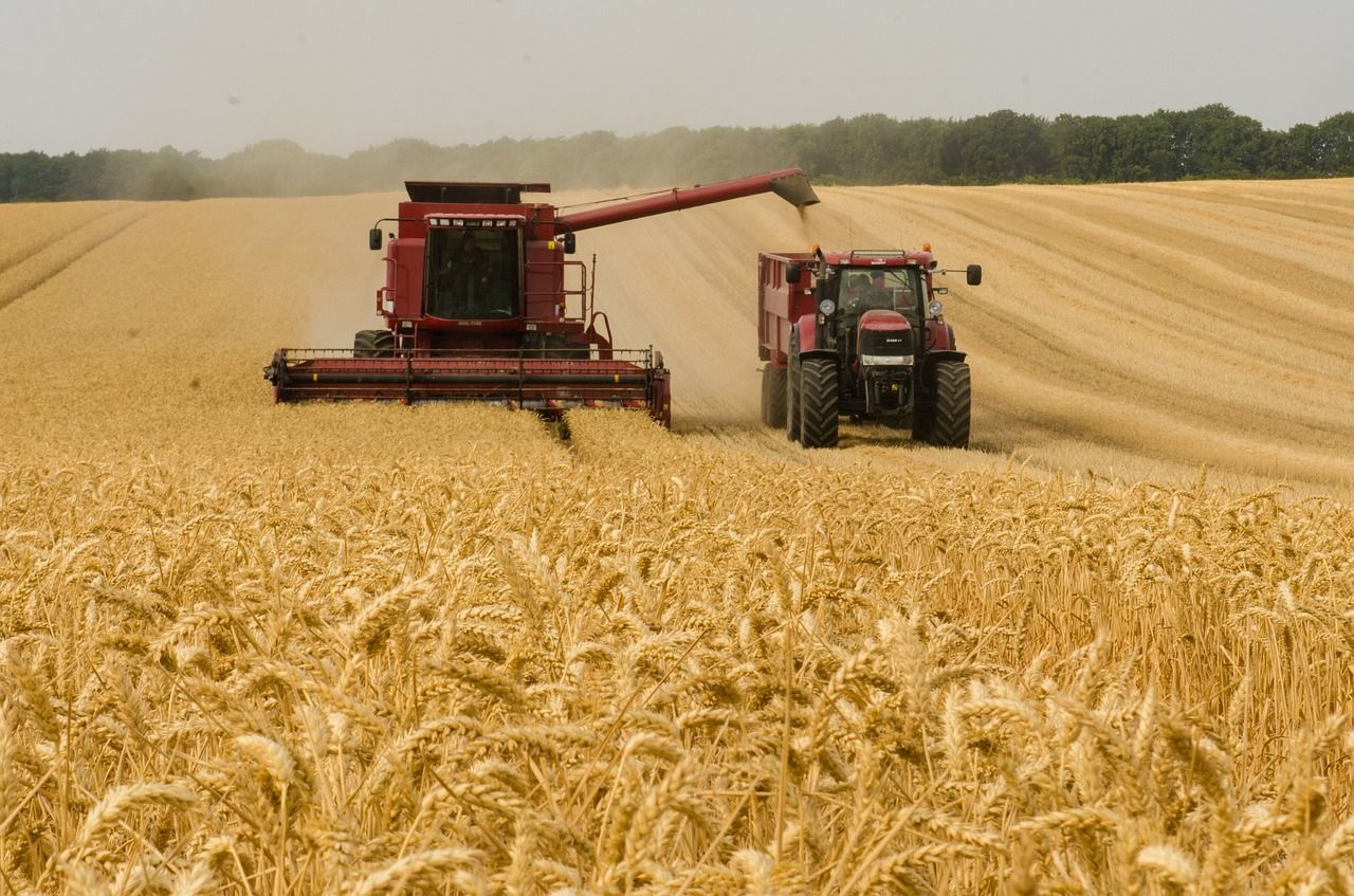Україна судитиметься з Польщею, Угорщиною та Словаччиною через сільськогосподарські заборони.