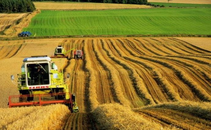 Україна отримає 550 млн доларів від Світового банку для відновлення сільського господарства