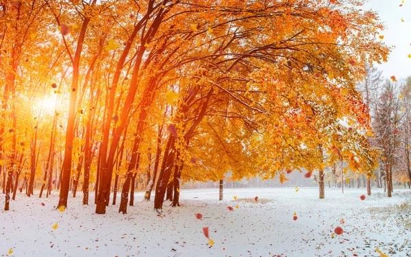 Не дивно, якщо листопад стає холоднішим за грудень, бо є періодом, коли зима дає про себе знати та готує до похолодання.