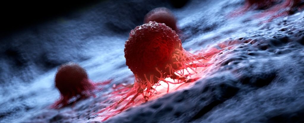 «Ефективність 99%»: вчені представили новий спосіб знищення ракових клітин