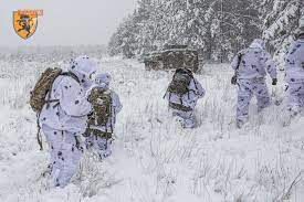 Морози залишили більше тисячі населених пунктів без світла й змінюють ситуацію на фронті