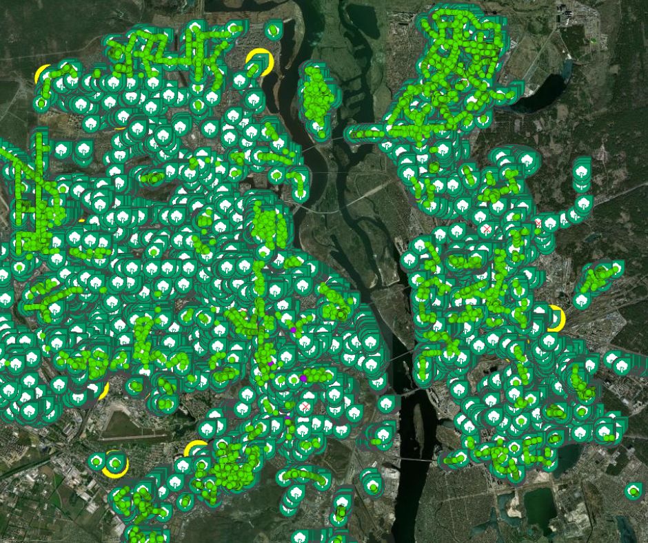 Понад 200 тисяч дерев «оцифрували» в Києві