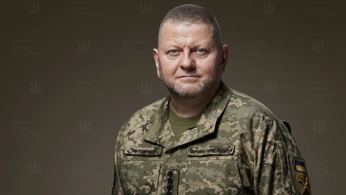 Залужний  розніс у прах систему виробництва зброї в Україні