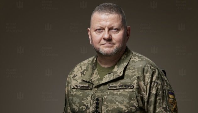 Облога замкненого кола — хід Залужним. Пентагонівський почерк відставки?
