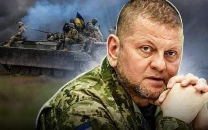 Звільнення генерала Залужного безпідставне: юридичний аналіз