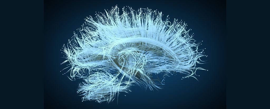 Новостворений нейропротез допоможе відновити пам’ять – дослідження вчених