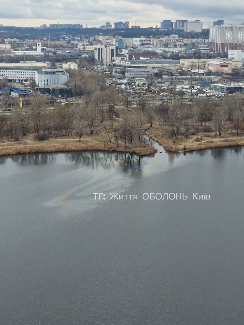 Екоцид у Києві: в озеро на Оболоні невідомі злили нафтопродукти