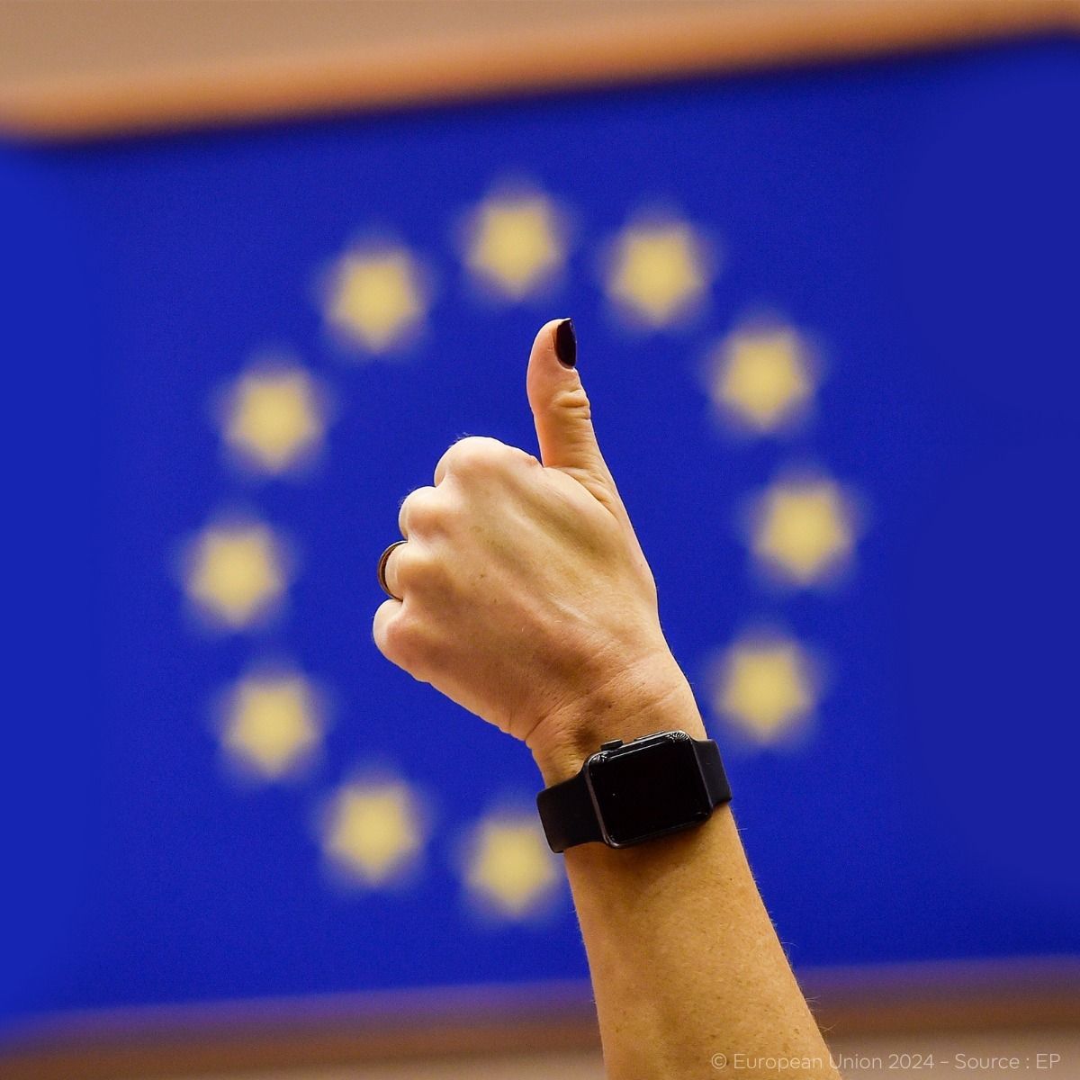 Європарламент не погодить фінансування Ради ЄС без додаткових Patriot для України