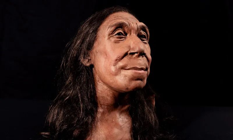 Учені реконструювали обличчя неандерталки, яка жила 75 тисяч років тому