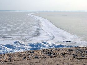 У крижаному полоні