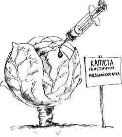 Вакцину знайдуть у... капусті