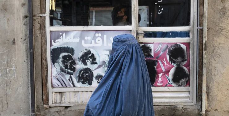 Афганський талібан заборонив вікна, які «дозволяють» побачити жінок, фото