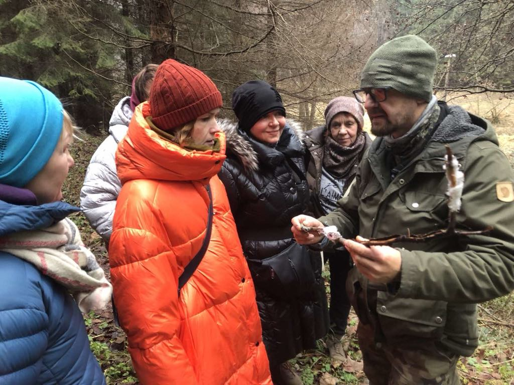 Дика гармонія: як поляки цінують і оберігають природу