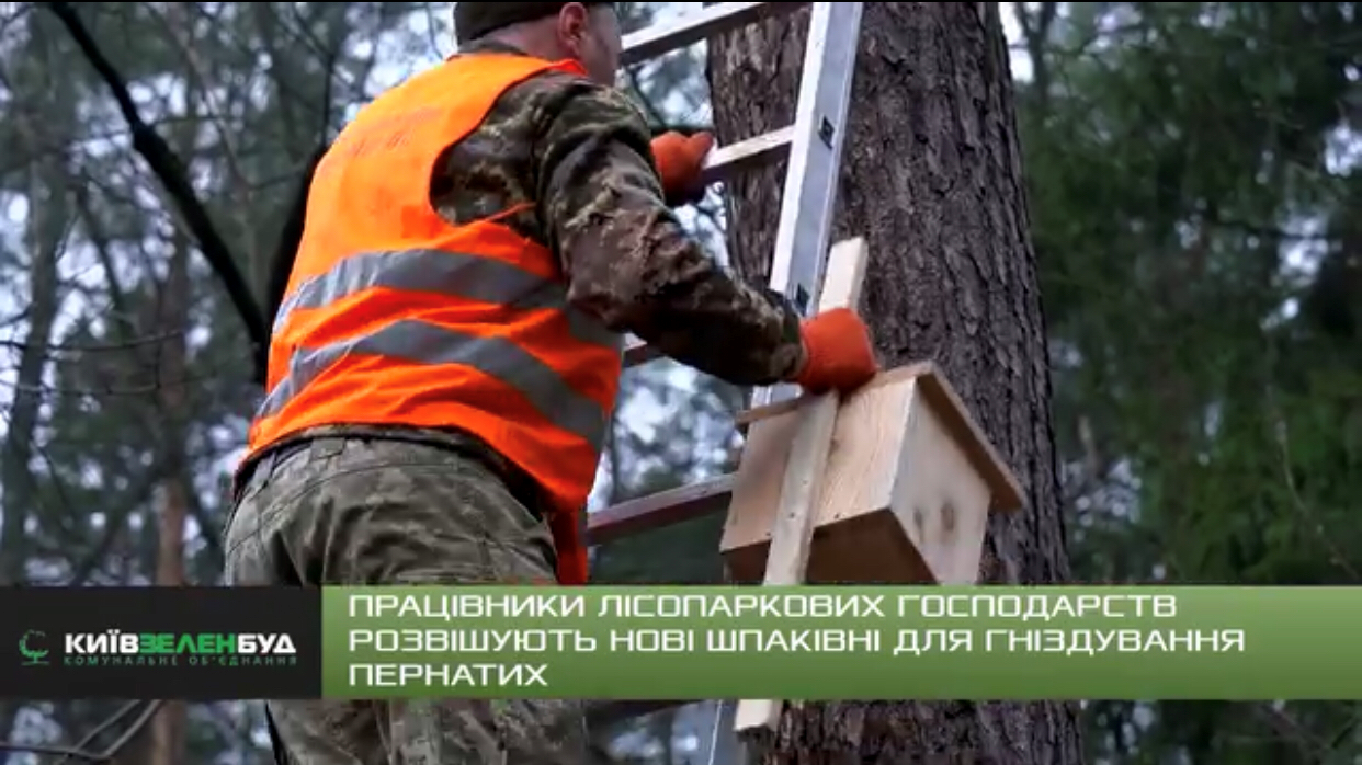 Працівники Київзеленбуду встановили майже 300 нових шпаківень