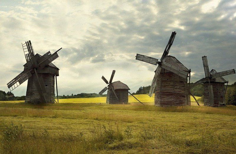 Спритники намагалися заволодіти землею Національного музею в Пирогові, фото