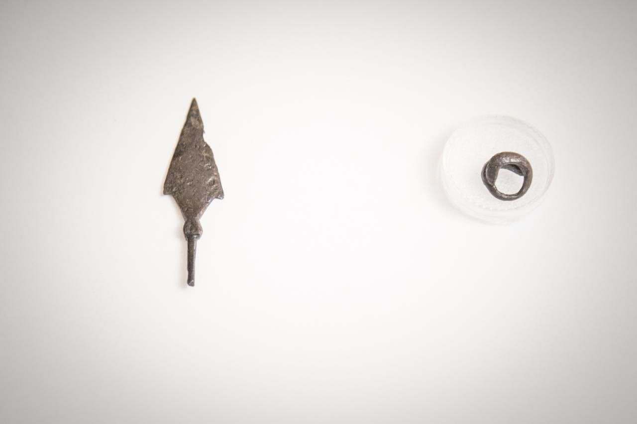 Австралія передала незаконно вивезені з України предмети археології, фото