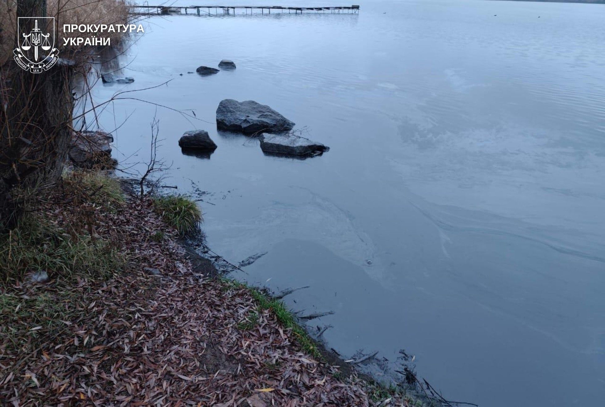 Ладижинське водосховище забруднене мазутом – прокуратура порушила кримінальне провадження.