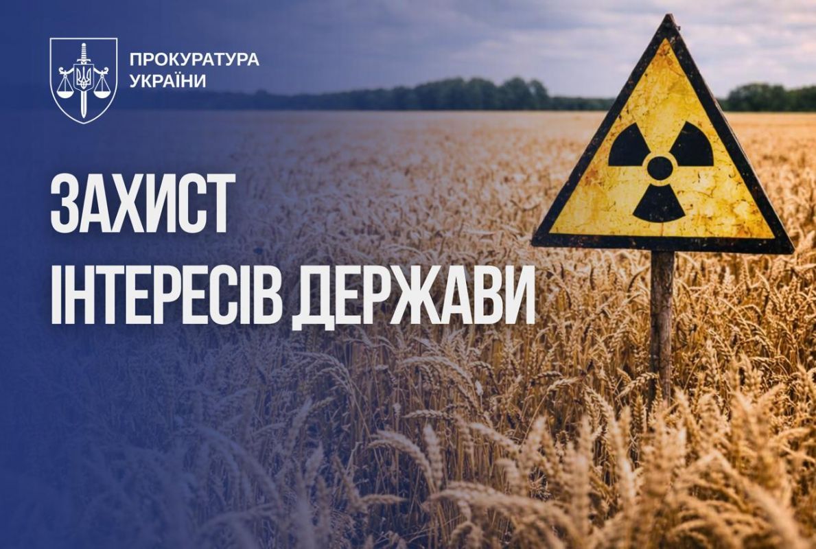 У Чорнобильській зоні більше 5 років незаконно вирощують врожай: прокуратура через суд повертає 190 гектарів
