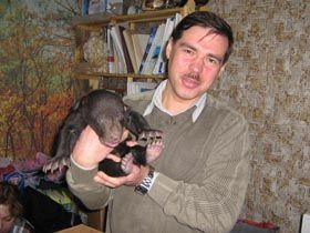 Кохаймося, як вони!