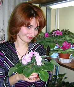 Королева сенполій