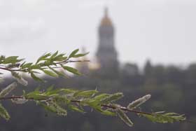 Чудо з вербою