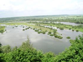 Десна–красна