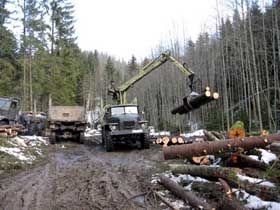 Сокира у відставці