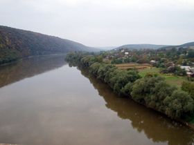 Щасливий паркан директора школи