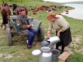 Поки радник не проїде, пшениця не зійде