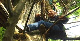 А на дереві — «Діоген»