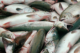 «Кінці» у воду