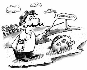 «Продам картоплю. Посередникам не турбувати!»