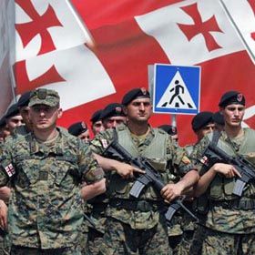 Загнані в куток