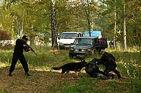 Полювання на «перевертнів»