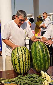 Коронований кавун