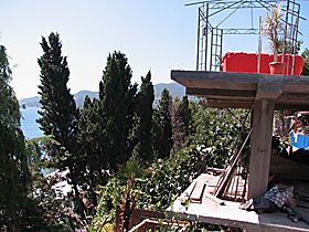 Ашир у жіночому царстві
