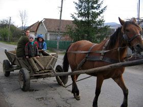 Сусіди, давайте жити дружно!
