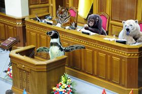 Рада звірів
