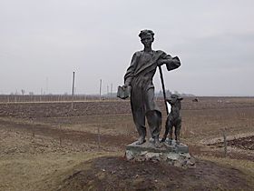 Ягнятко без ноги