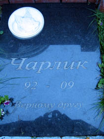 Так ось чий собака заритий!
