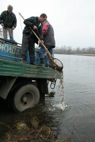 І щуку кинули у річку