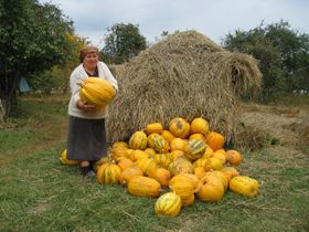 Шампанія без бульбашок