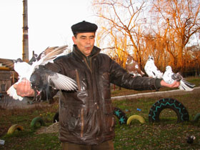 Голуби над Зугресом