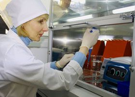 Бачили очі, що ГМО…
