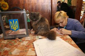 За травнем іде листопад