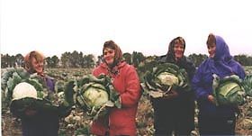 Капустяний хліб