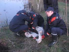 Відмити білих лебедів